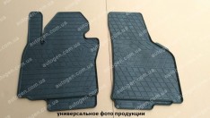 ������� ������ Ford Focus 1 (1998-2004) (�������� 2��) (Stingray)