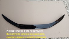 Мухобойка Renault Scenic 2 (2003-2009) SIM