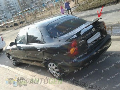 Ort-EU ������� ��������� ������������� (Design Delfin) (�������������)